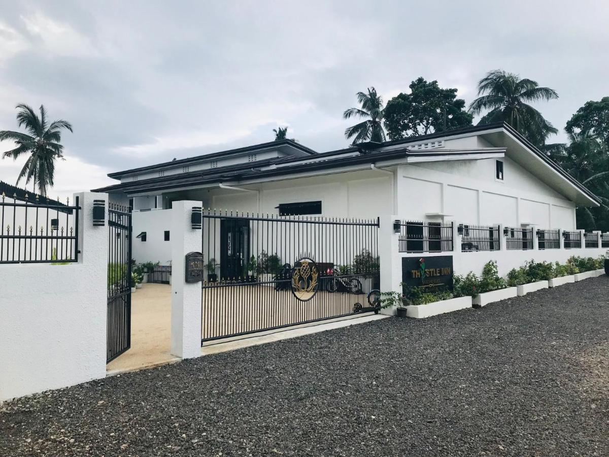 Thistle Inn Panglao Eksteriør billede